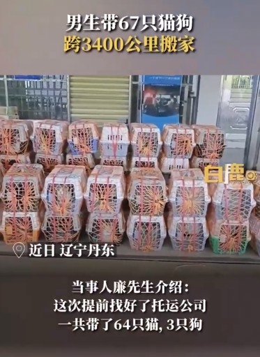 男孩们带着67只猫和狗跨越3400公里移动