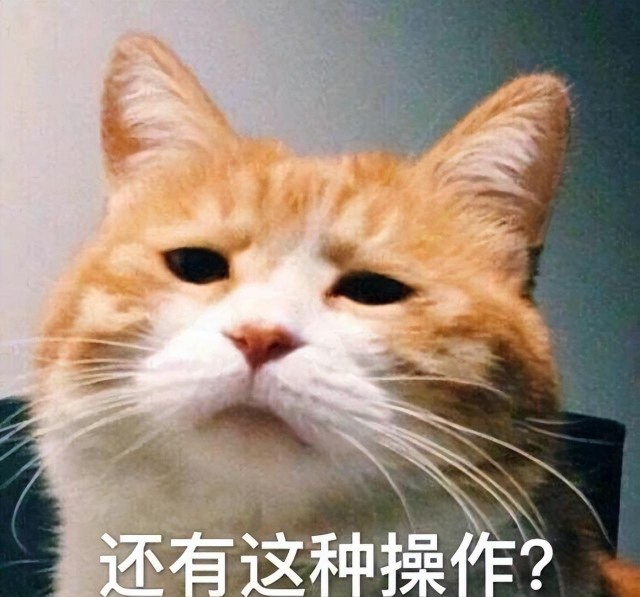 给予猫咪“增肥”的超全攻略，8招让猫咪告别瘦弱体质